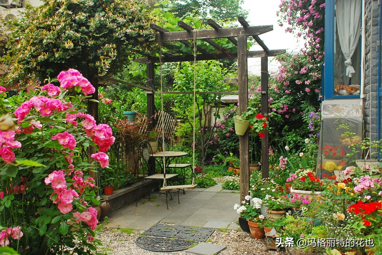 园丁金挂有排期吗,吊钟海棠怎么养护