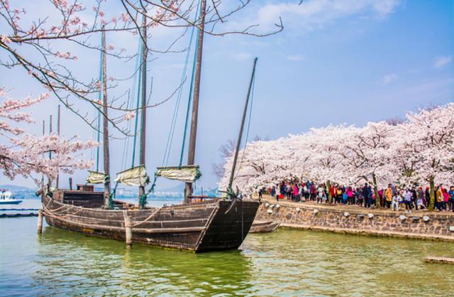 苏州半日游吃喝玩乐集中的地方,苏州周末去哪玩最佳去处