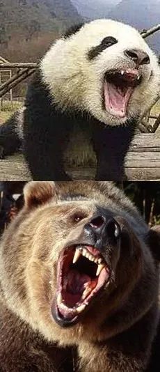 如何从零开始学习投资,从零开始学会投资