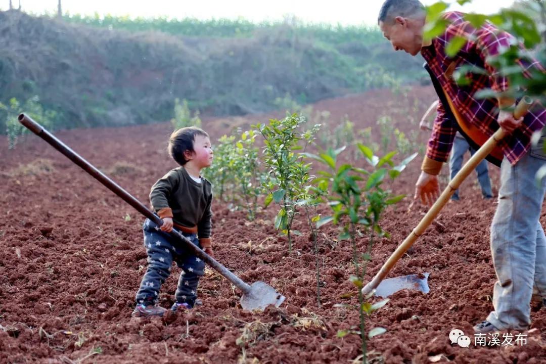 栉风沐雨一百年砥砺前行谱华章,栉风沐雨秉初心砥砺奋进谱华章