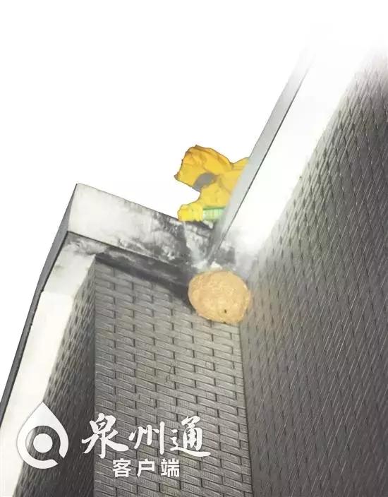 小心！近期这些毒虫出没频繁，已有数人被咬！可致命