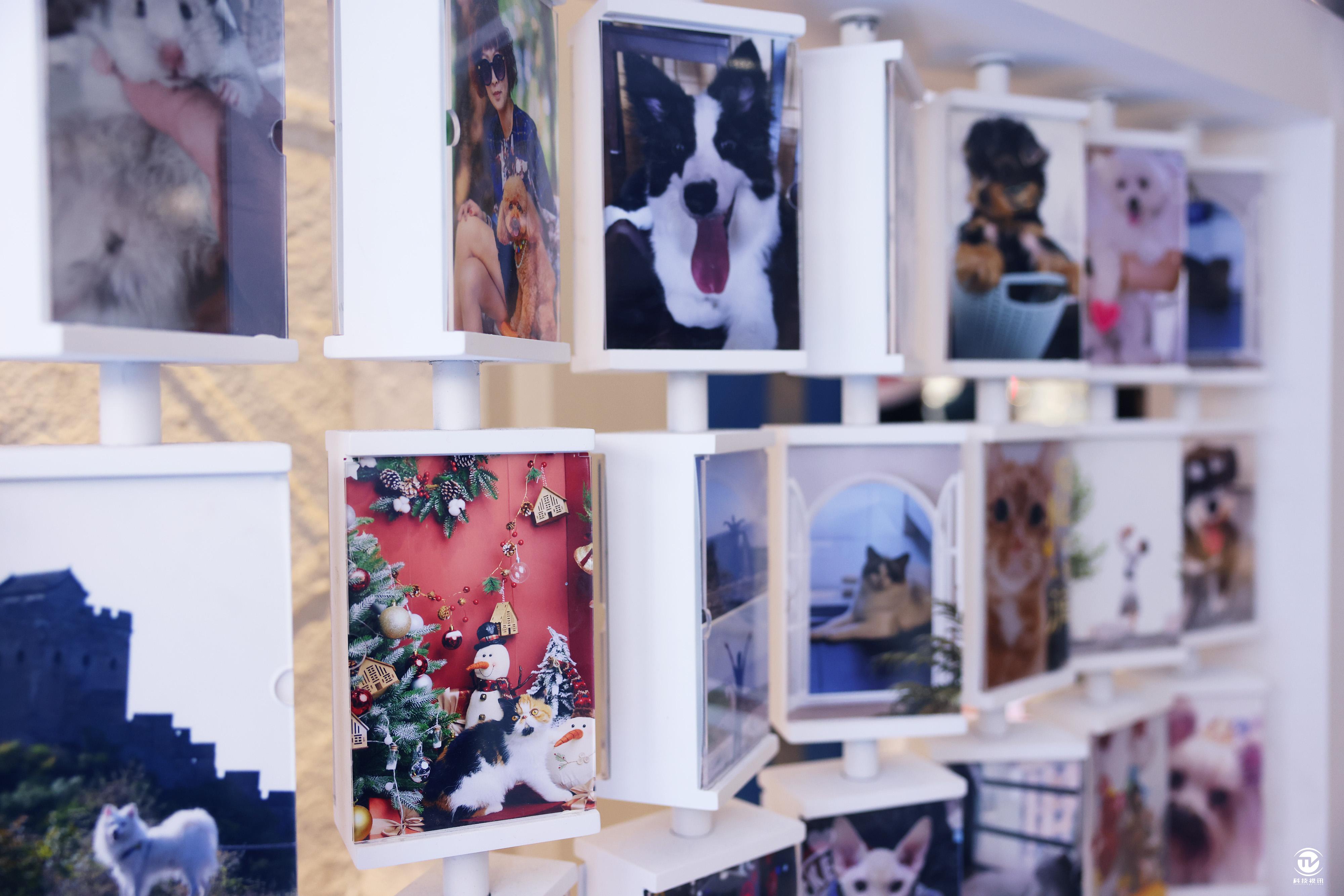 宠爱有你活动,宠爱有你宠物用品