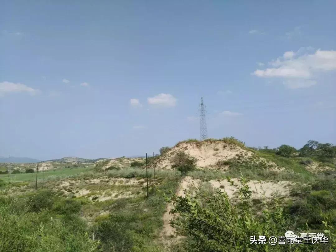 草原行蔚县,内蒙古草原行