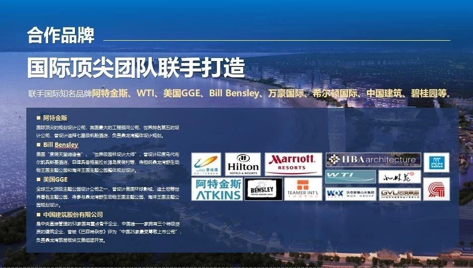 湛江鼎龙湾项目,湛江鼎龙湾项目怎么样