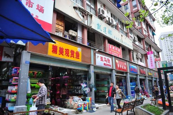 广州有哪些虫鸟批发市场,花鸟鱼虫批发市场哪里最便宜