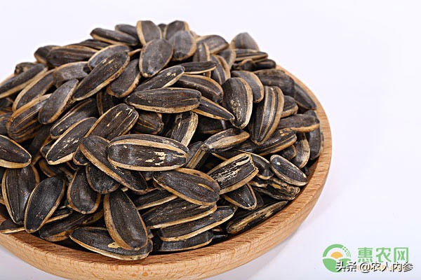 菜籽油花生油葵花籽油多少钱一斤,葵花籽菜籽油哪个价格高