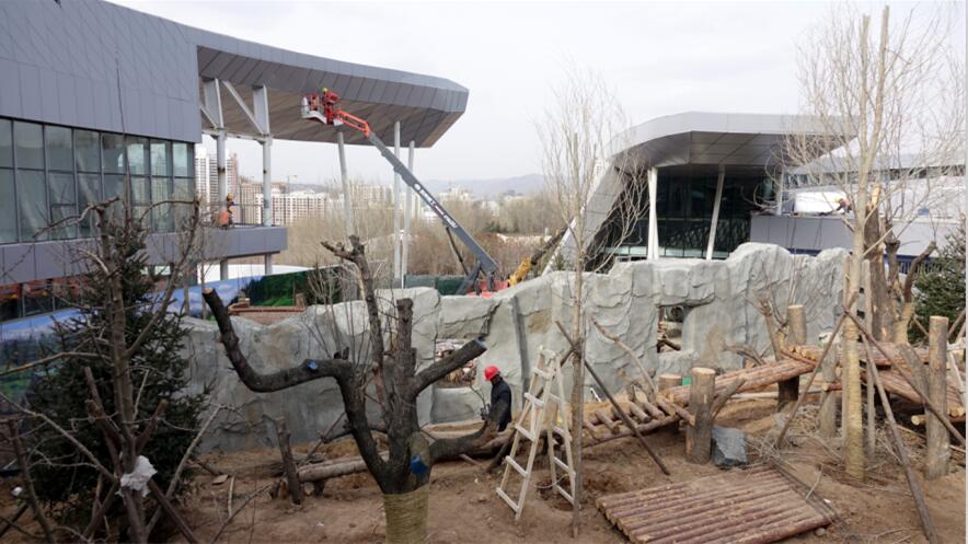 好期待银尘图片,西宁熊猫馆