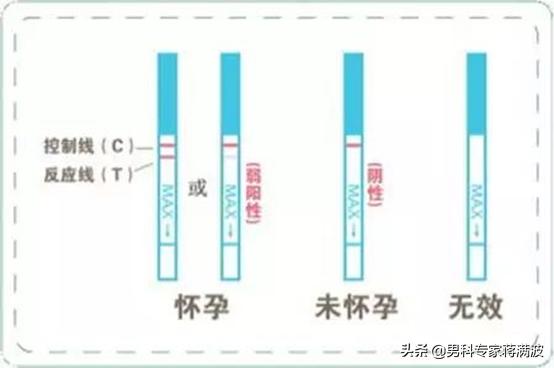 想知道怀没怀孕查血查什么,想知道怀没怀过孕怎么看