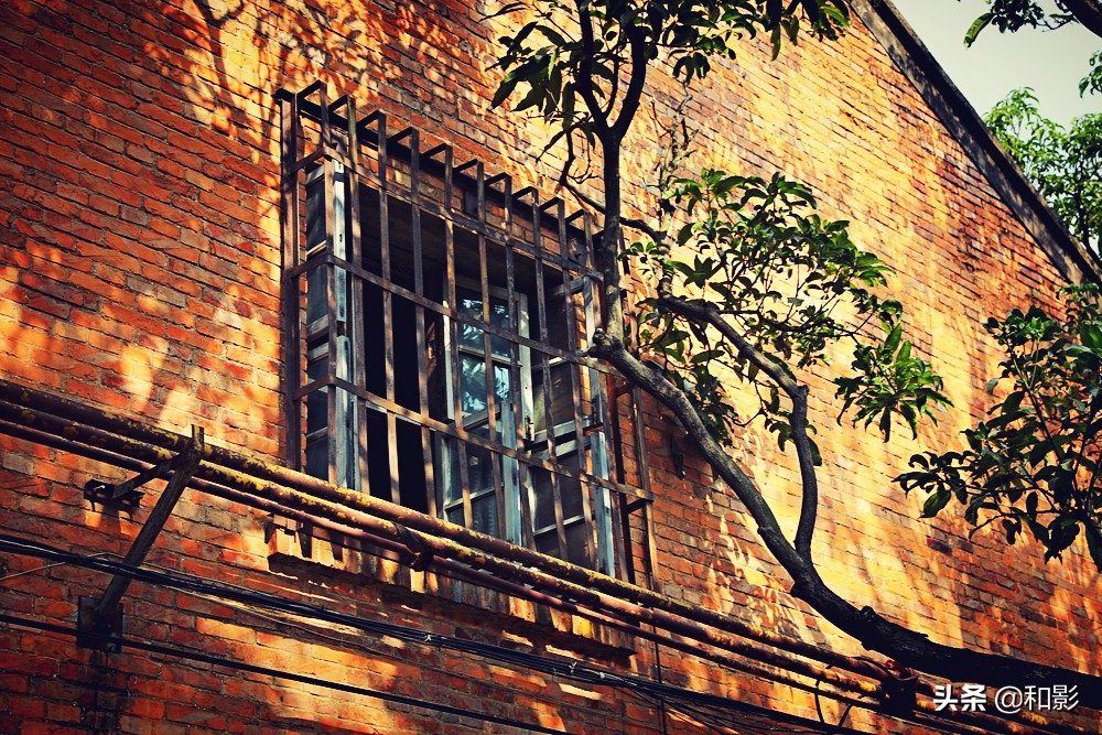 南宁老旧手扶拖拉机,手扶拖拉机南宁