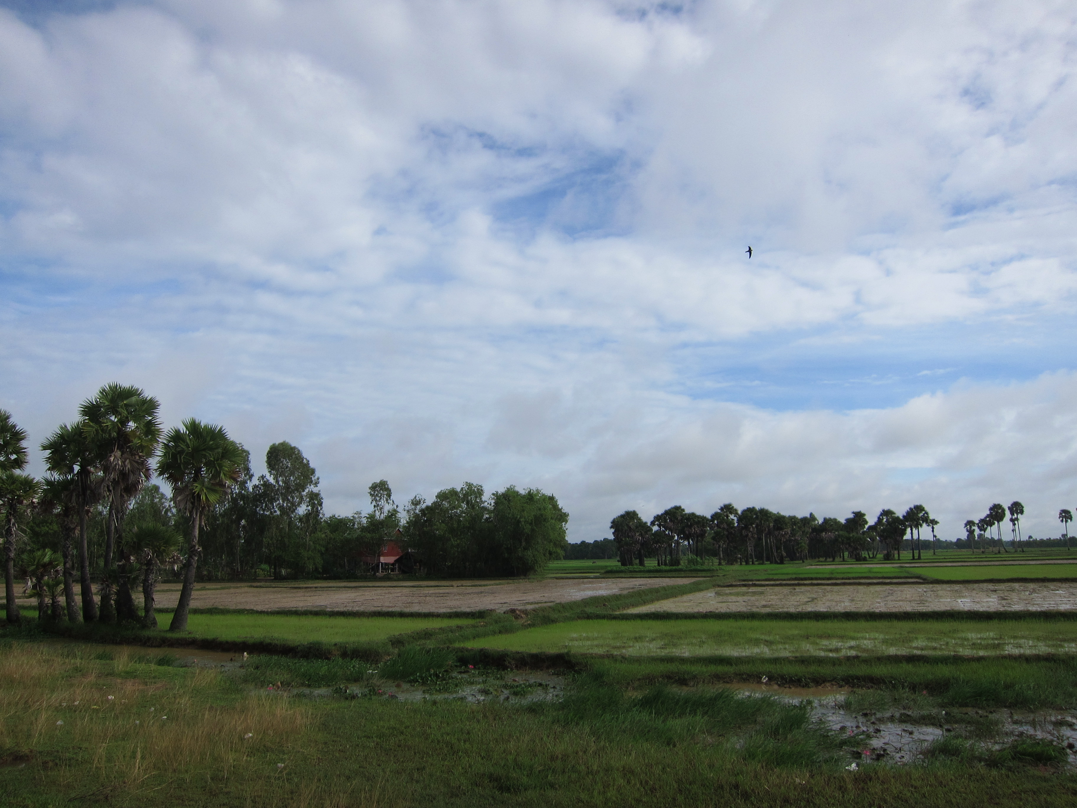柬埔寨旅行骑行,柬埔寨骑行真实感受