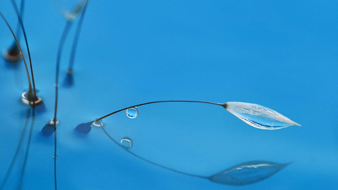 自古评论出人才，30个网易云热评送给你，每一首歌都是一个故事