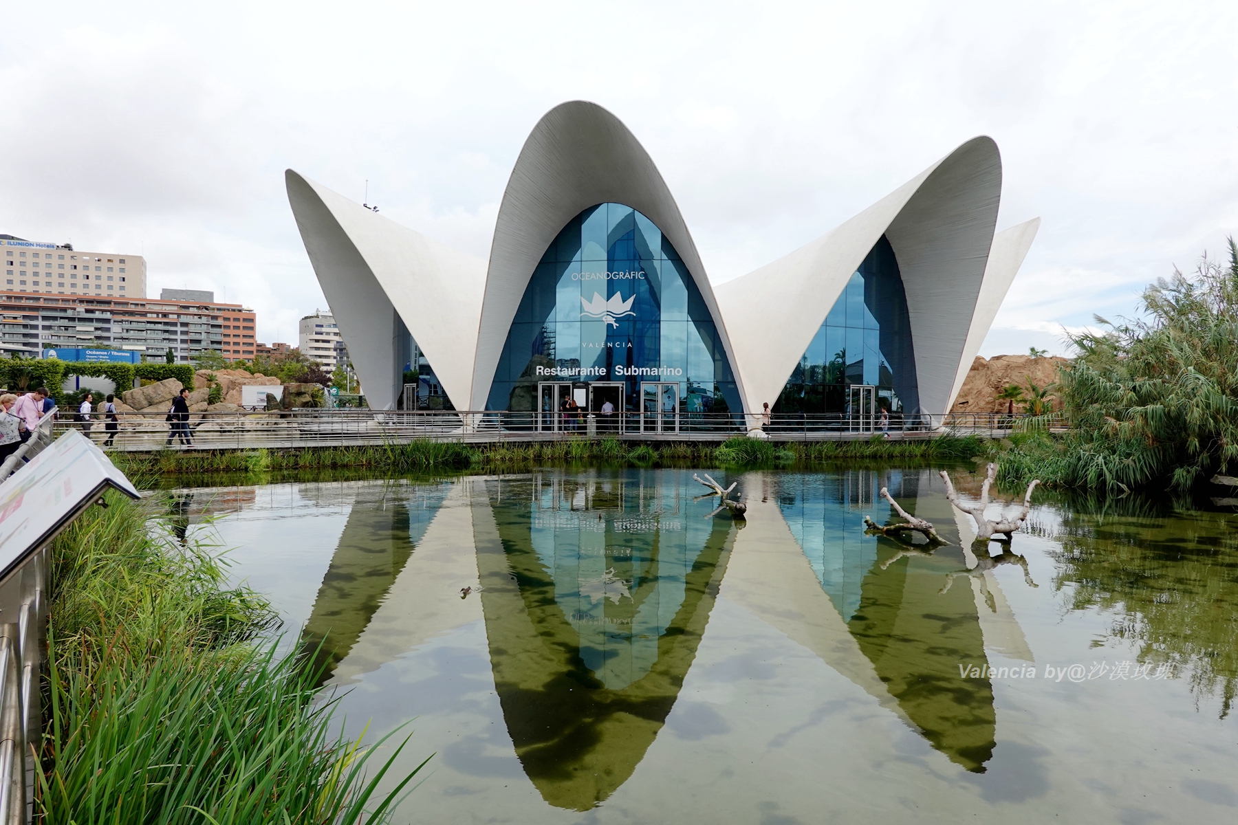 蝙蝠救了国王，成了这座城市的守护神，西班牙被忽视的阳光之城