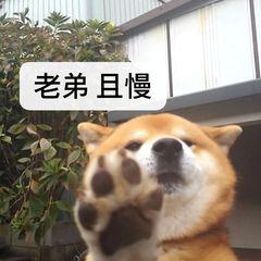 领导不给机会晋升怎么回复,如果领导说给你升职怎么回复