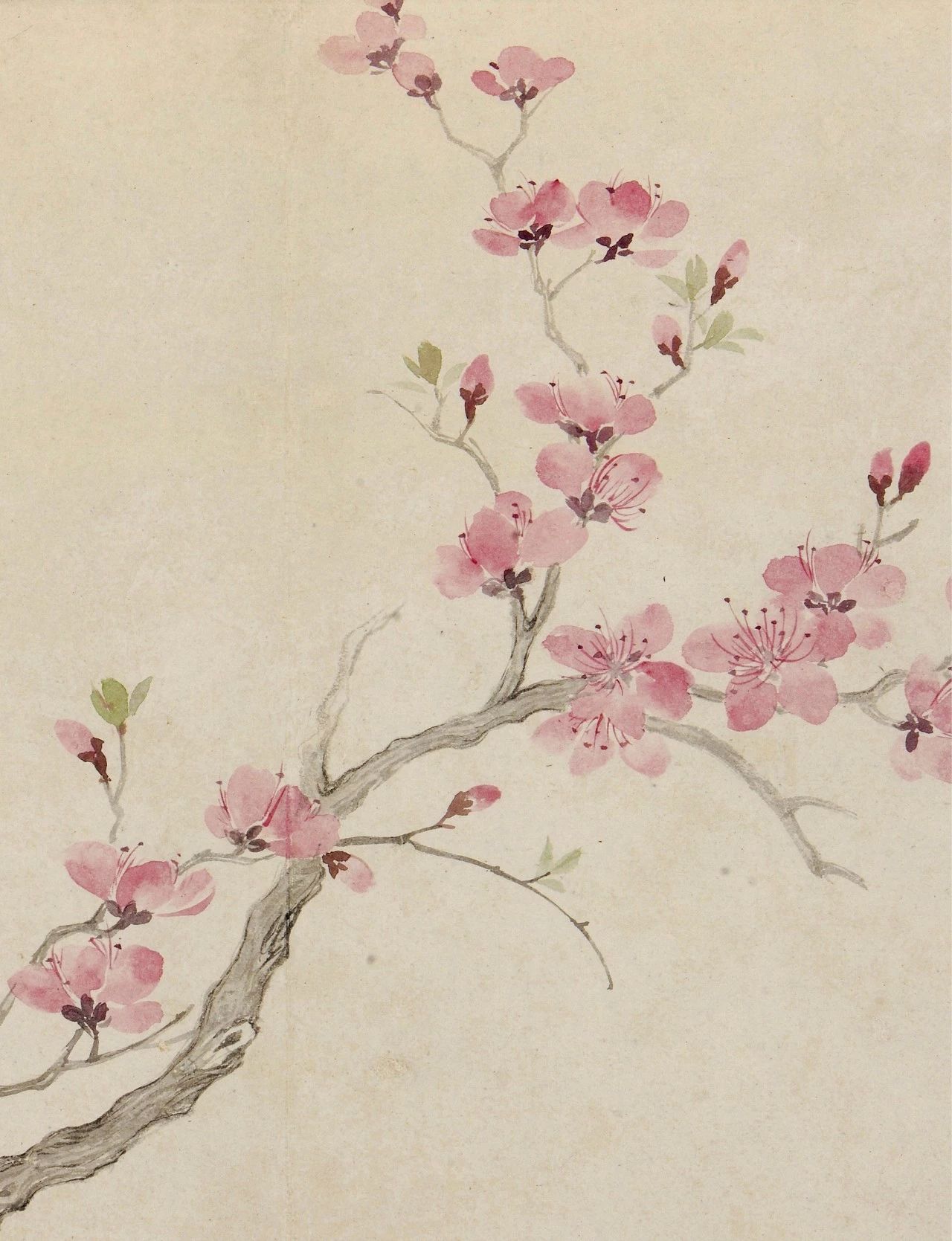 画得好的题材很重要,画的好有质感