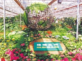 珠海最值得去的旅游景点推荐图片,珠海旅游必去的4个景点是哪里