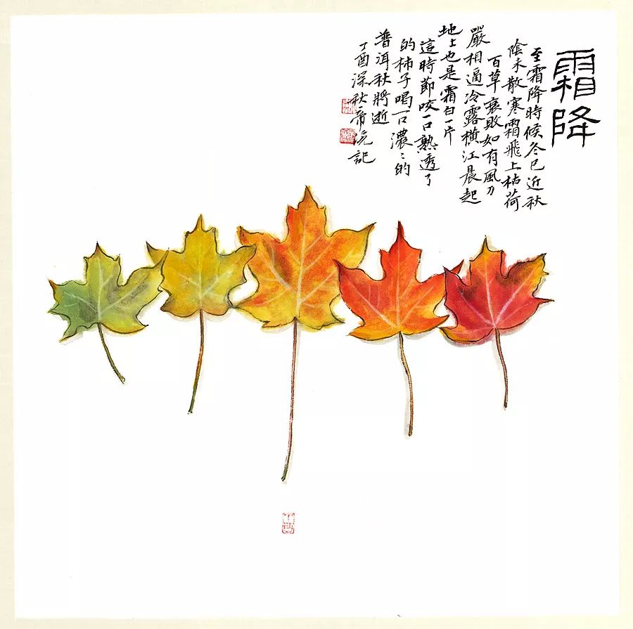 小林｜常恐秋风早，飘零君不知