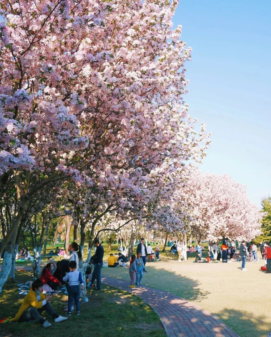 别再去挤故宫了！天津这些地界儿，足够你制霸五一朋友圈！