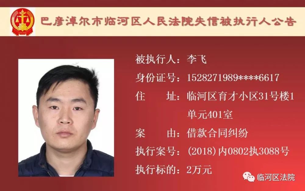 临河失信被执行人石靖君,最新一批失信人名单表