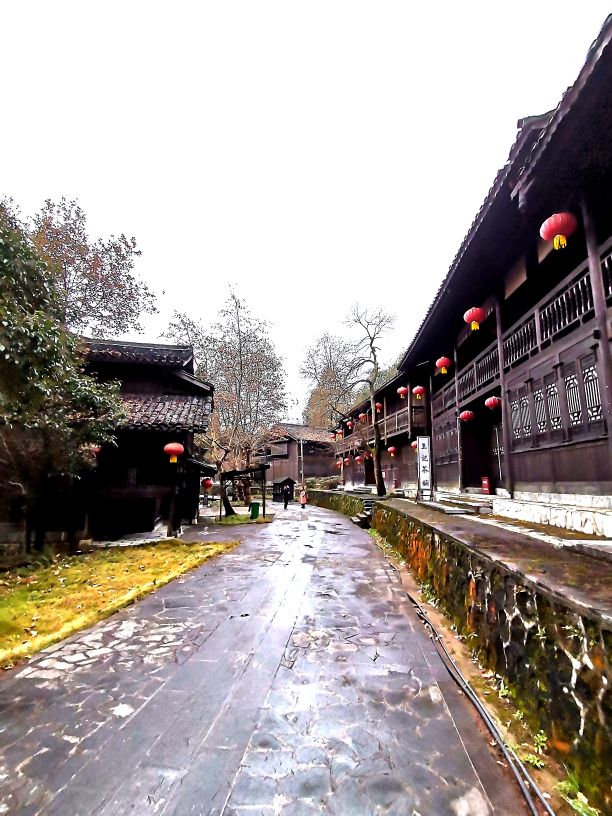 都匀茶旅小镇,都匀毛尖茶园基地游玩