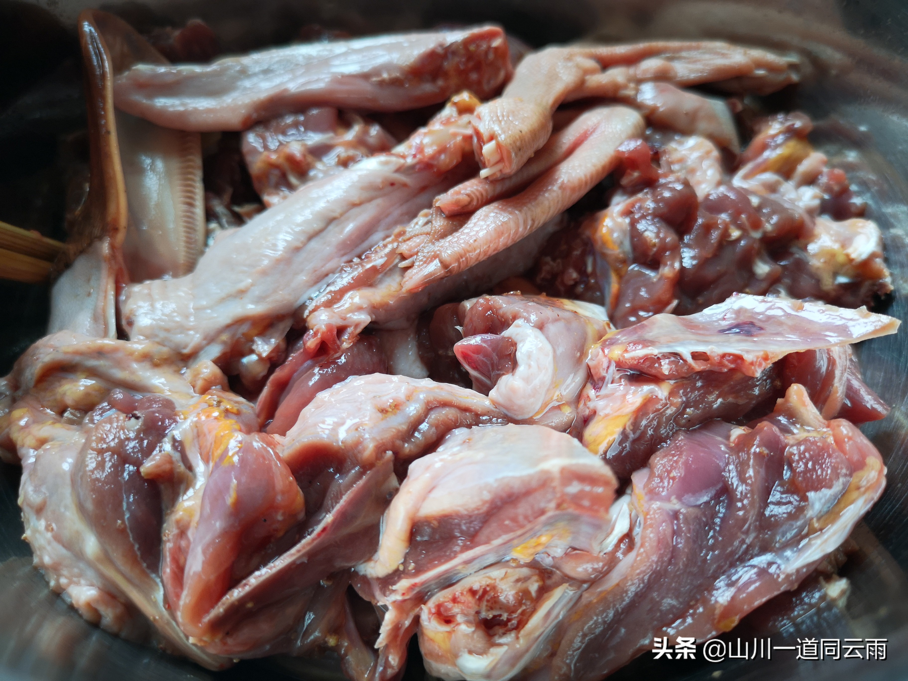 正宗川味火焰醉鹅,顺德火焰醉鹅是用什么鹅做的