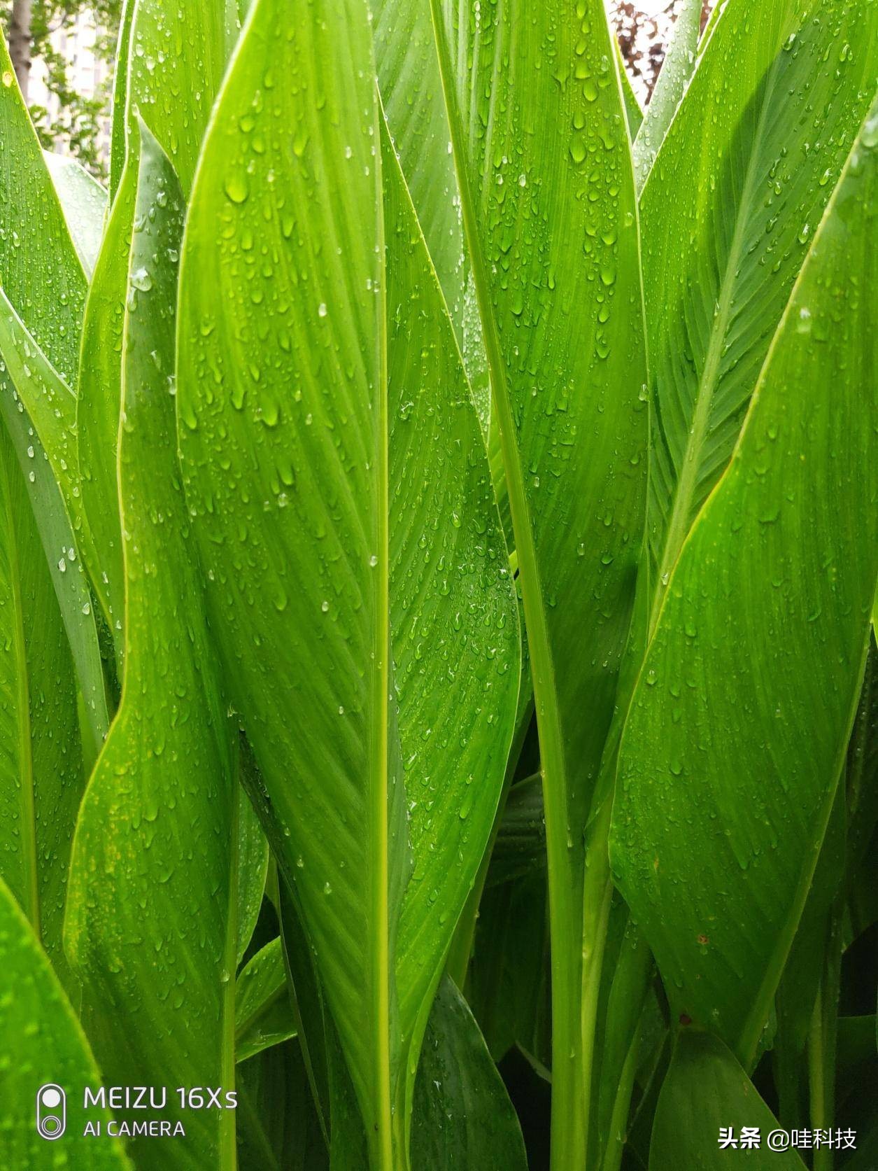 魅族16xs值得入手吗,魅族16xs深度评价