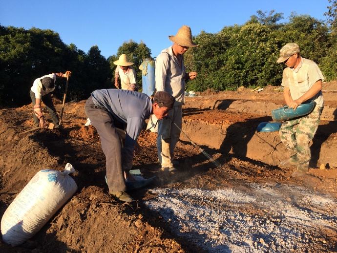 万能的草木灰，现在意识到这块“宝”还不算晚