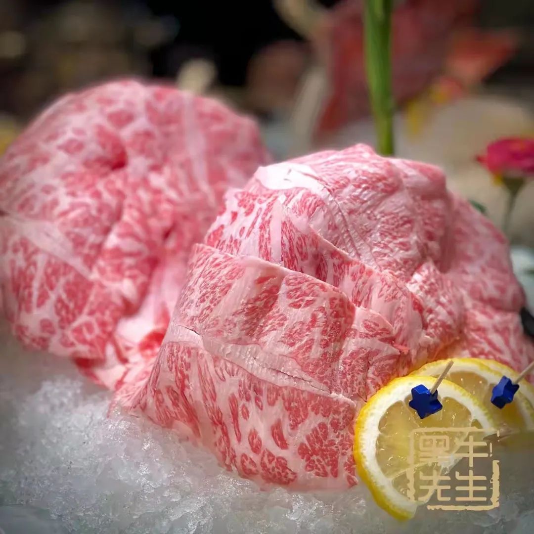 黑牛养成,黑牛养成记