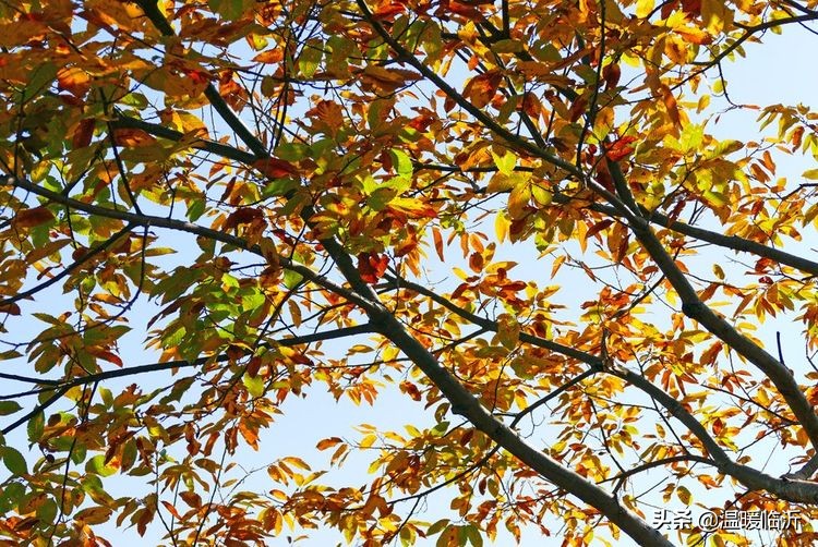 竹泉村景区,最美竹泉村