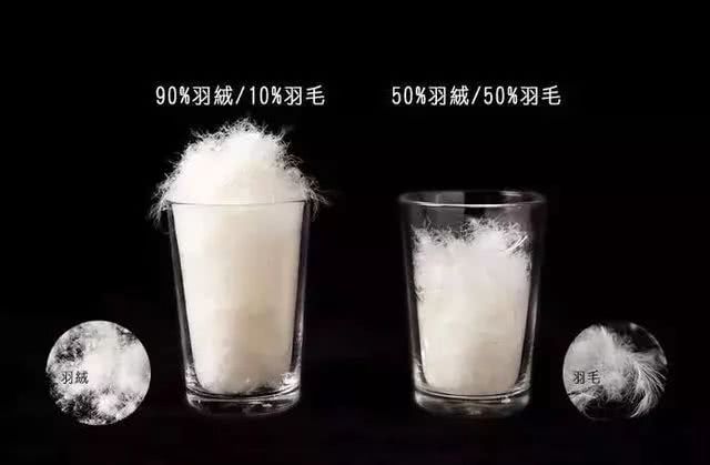 性价比羽绒服有哪些品牌,波司登羽绒服保暖效果好吗