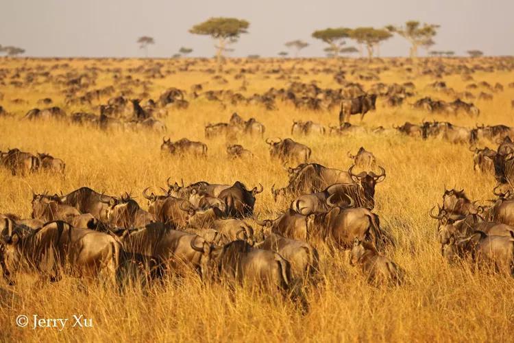 瀹氬埗鍒涙剰鏃呰,鍒涙剰瀹氬埗鏃呰