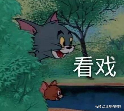 已取证的楼盘单价,现房有证的洋房