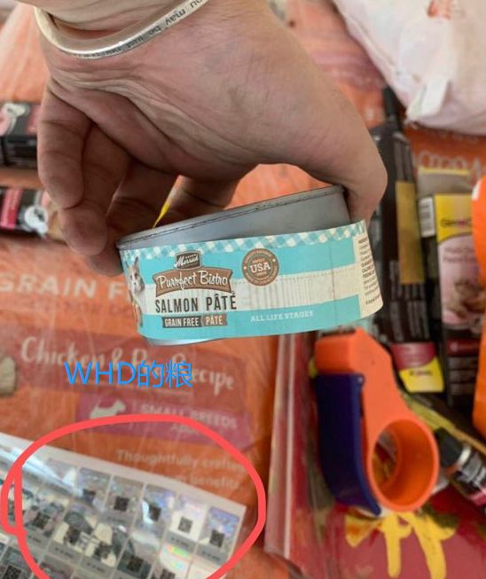 进口过期狗粮,进口猫粮过期了还能吃吗