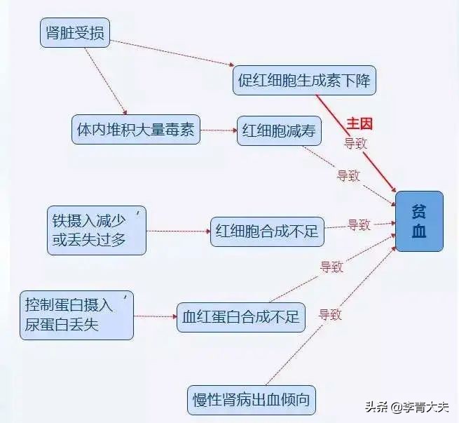 第一次看肾病做几项检查,了解糖尿病肾病透析