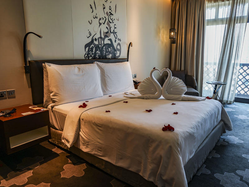 从天空到海洋到大地的视频,从天空到海底绘本