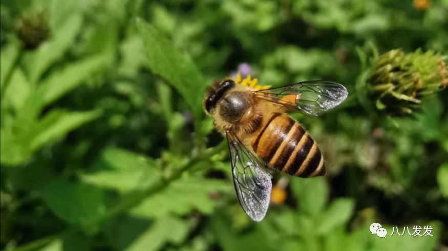 孕前优生优育咨询,优生优育要怎么备孕