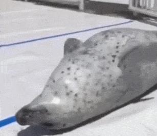 这届年轻人有多清醒,这届年轻人怎么爱上吸熊猫的