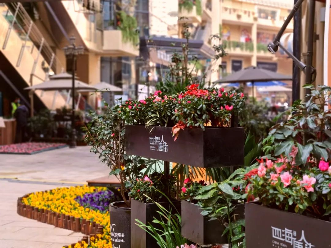 就地过年的新气象,原来就地过年也可以很欢乐