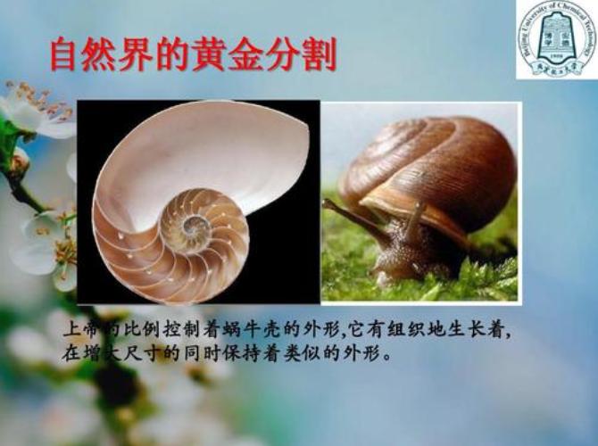 讲解黄金分割线视频,黄金分割知识点思维导图