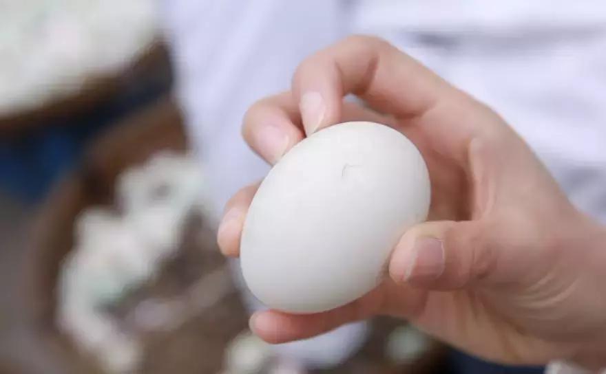 传承了280多年！这道来自嘉兴平湖的奇特美食，你吃过吗？