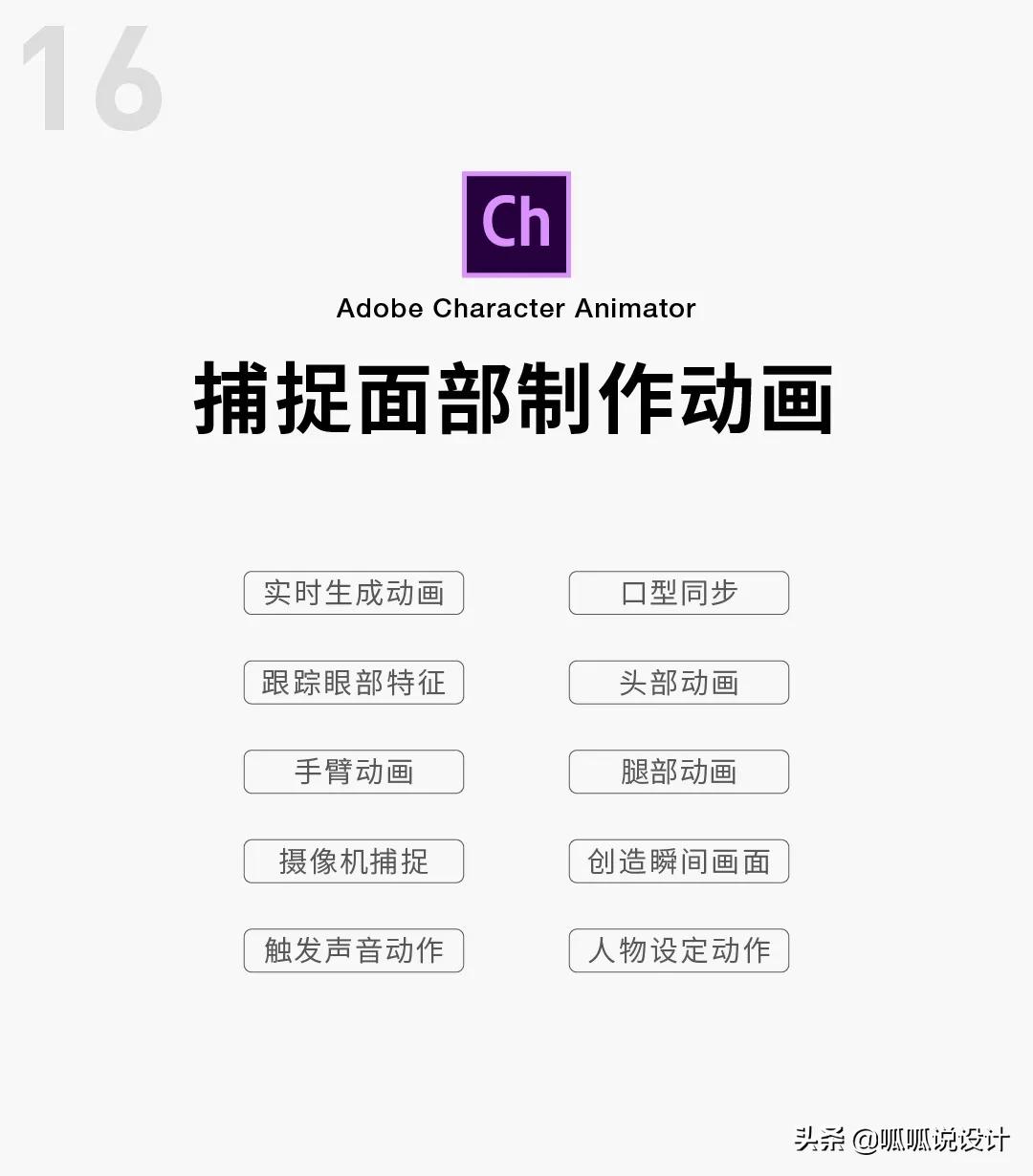 adobe全家桶中的软件都是干什么的,adobe全家桶软件