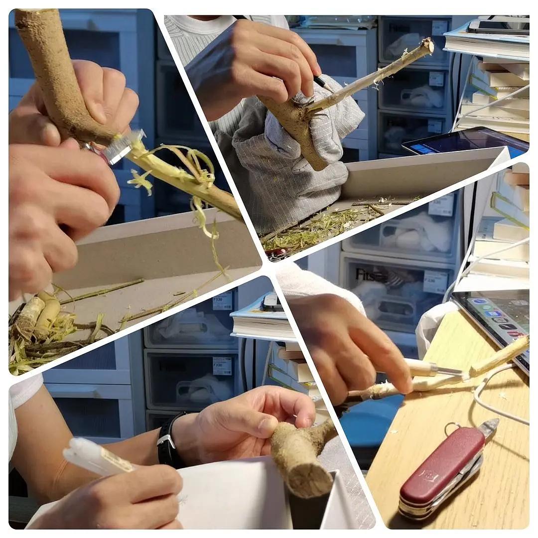 入木三分真功夫,入木三分让我懂得了什么