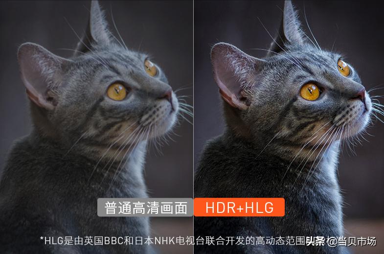 2021最建议买的三款免费电视盒子,你一定要知道的电视盒子常识