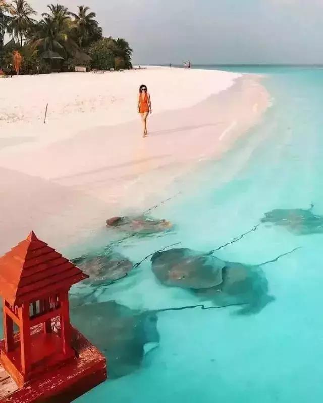 2018性价比最高的马尔代夫海岛,世界顶级海岛排名马尔代夫