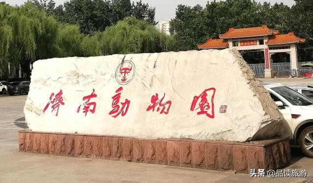 开了动物园,开了个动物园