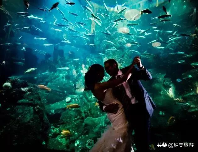 西雅图一生必去的景点,西雅图旅游攻略必去景点大全