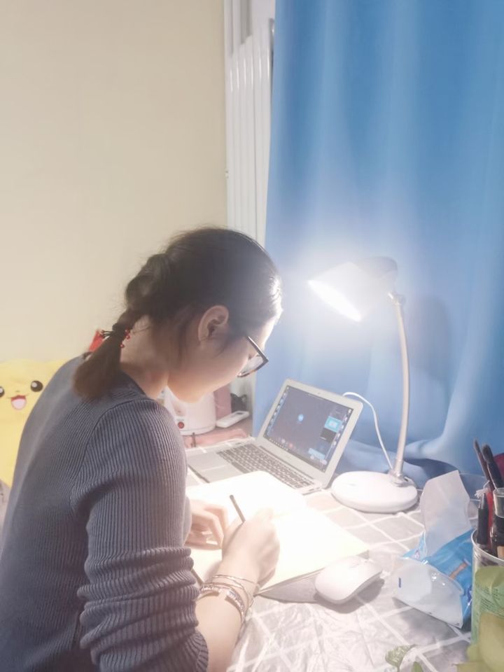 圣卡洛斯大学生留学条件,圣卡洛斯大学博士毕业要求