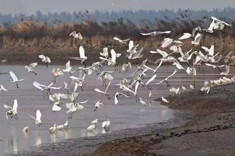 台州玉环风景区推荐,浙江玉环十大景区