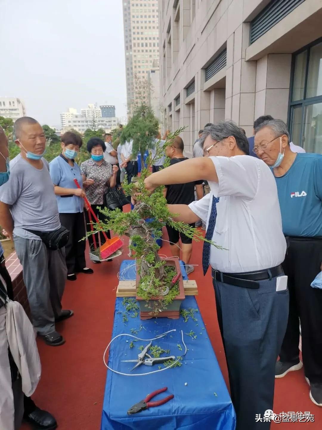 涓浗钁楀悕鐩嗘櫙澶у笀绮惧搧鐩嗘櫙,鐩嗘櫙鑹烘湳瀹跺拰鐩嗘櫙鑹烘湳澶у笀