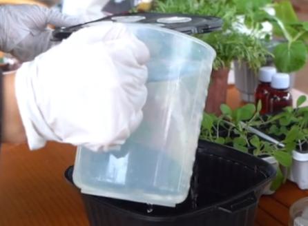 简易无土栽培蔬菜,自制无土栽培蔬菜神器