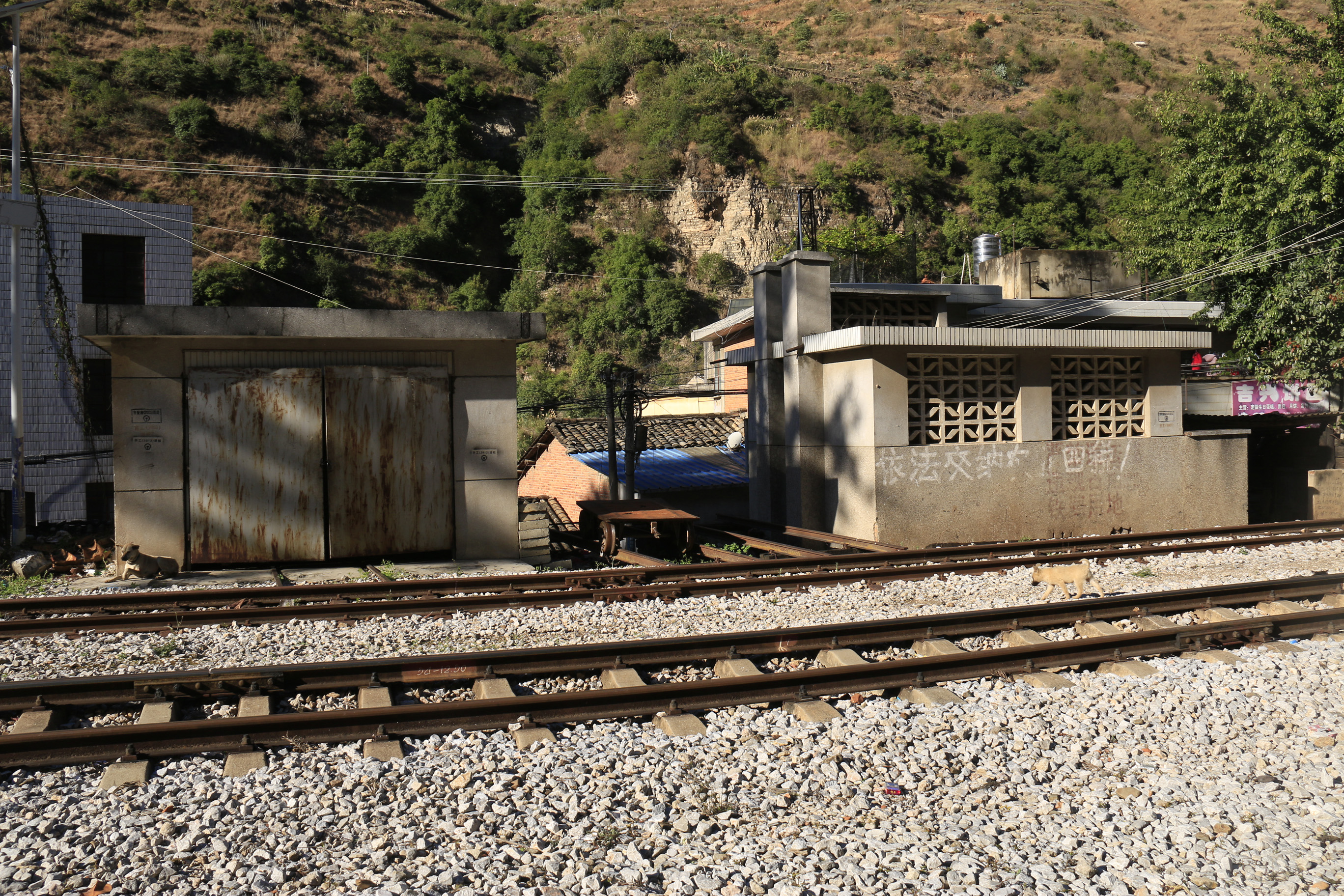 粮食局与测绘局的故事小说,粮食局仓储知识